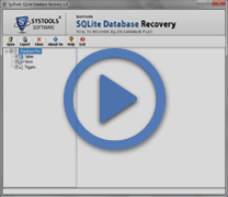 Fix SQLite Corrupt Database
