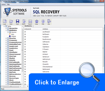 Fix SQL MDF